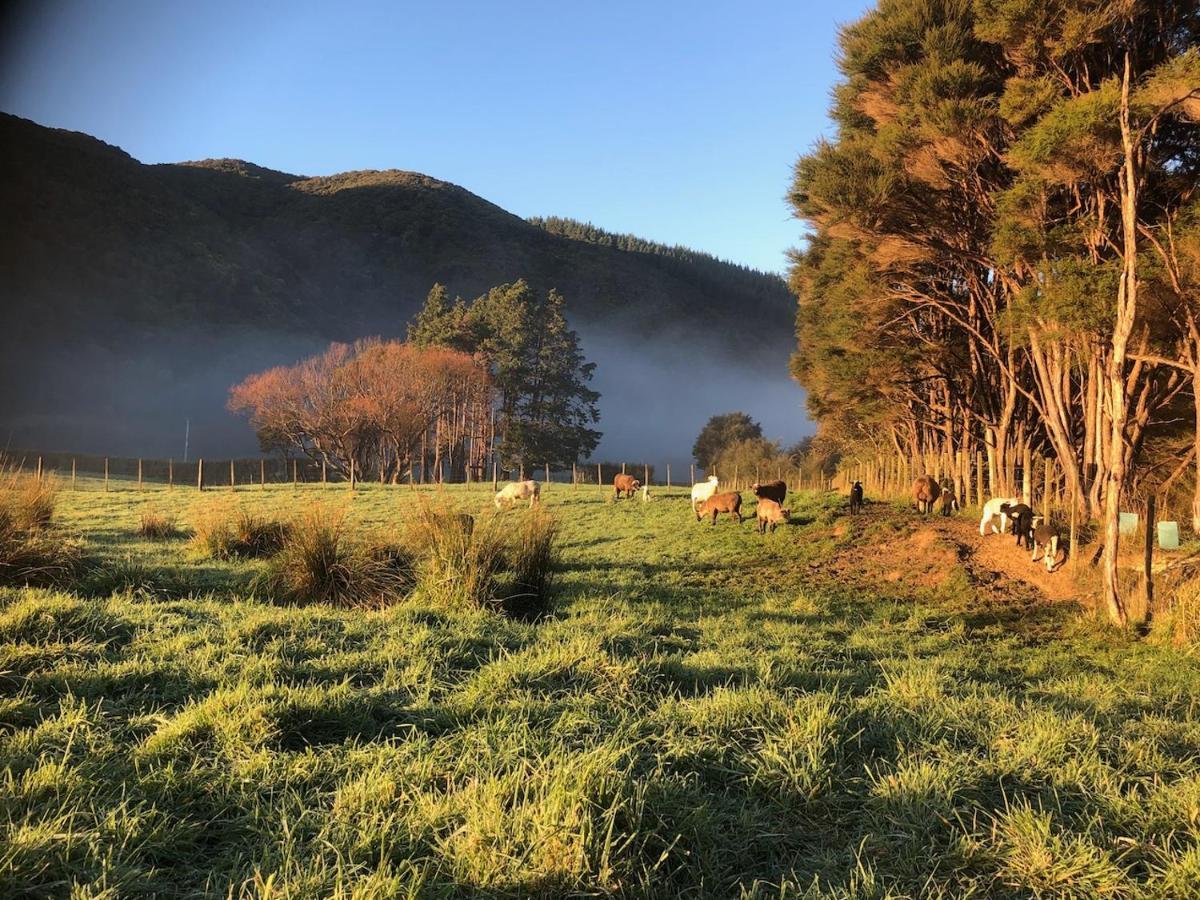 Narrow Neck Creek Farmstay And B&B Upper Hutt Esterno foto