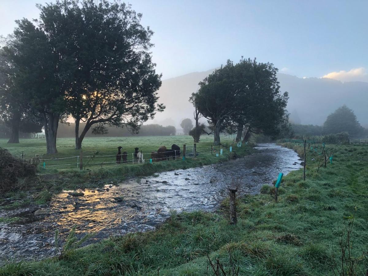 Narrow Neck Creek Farmstay And B&B Upper Hutt Esterno foto