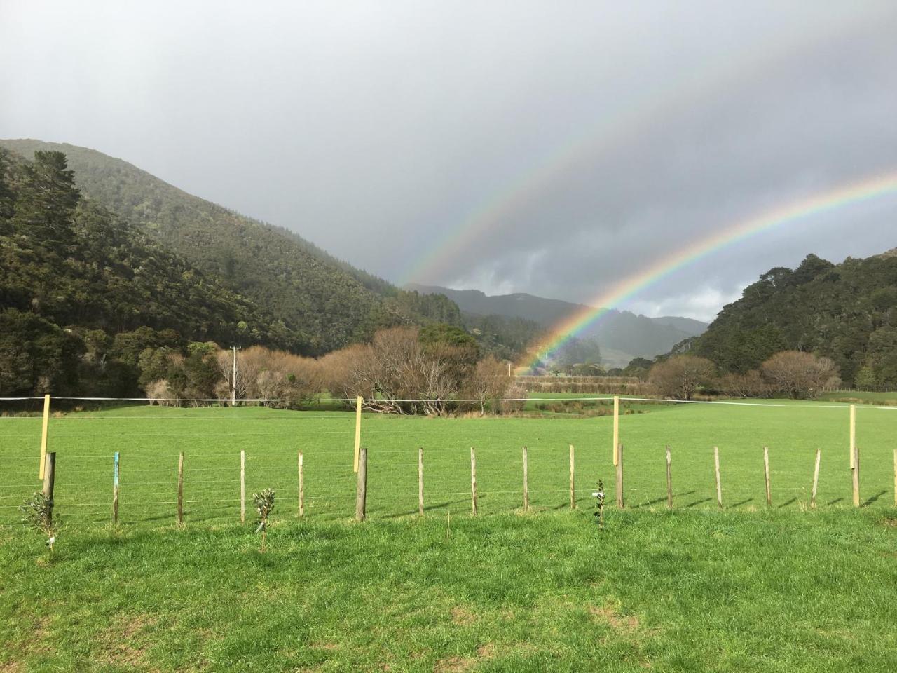 Narrow Neck Creek Farmstay And B&B Upper Hutt Esterno foto