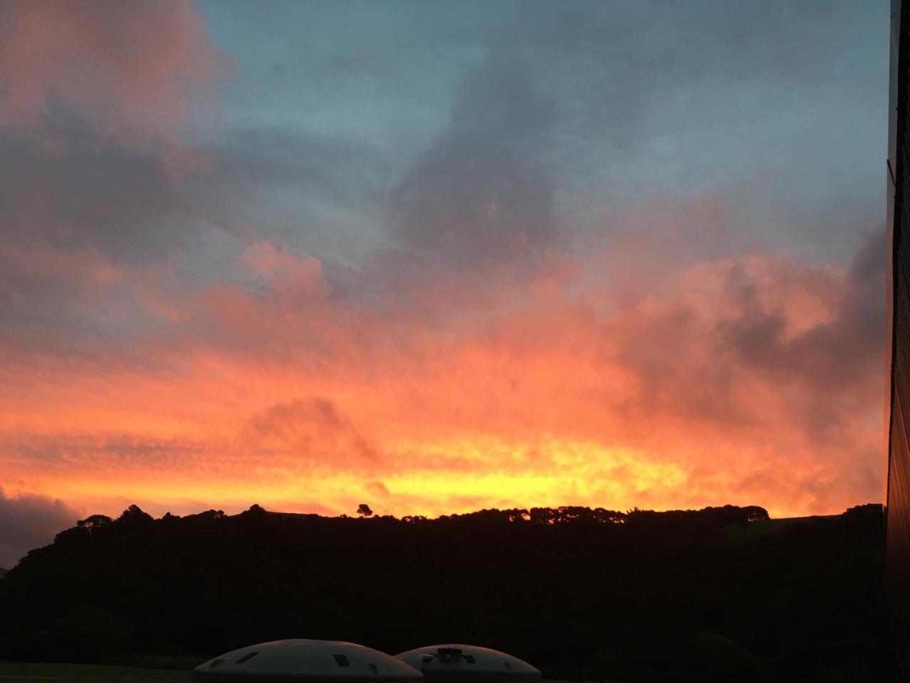 Narrow Neck Creek Farmstay And B&B Upper Hutt Esterno foto